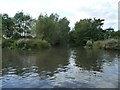 SU6369 : River Kennet rejoining the Kennet & Avon canal by Christine Johnstone