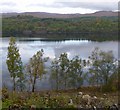 NH2502 : Birch trees by Loch Garry by Craig Wallace