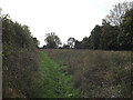 TM3865 : Footpath to Curlew Green by Geographer