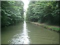 SP9412 : Grand Union Canal: Tring summit cutting (1) by Nigel Cox