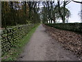 SE0939 : Walled Avenue leading to Cross Gates by Chris Heaton