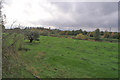 TL1653 : River Ouse watermeadows by Richard Dorrell