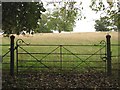 SP8658 : Wrought-iron gate, cast-iron gateposts, Castle Ashby Gardens by Robin Stott