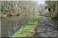 ST2897 : Monmouthshire and Brecon Canal by Philip Halling