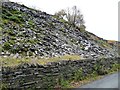 SH4952 : Slate tip on the south side of the road to Tanyrallt by Christine Johnstone