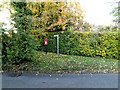 TM2560 : Footpath & Low Street Postbox by Geographer