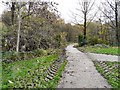 SJ9594 : Path to Trans Pennine Trail by Gerald England