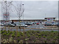 TF6218 : Tesco and Dobbies, King's Lynn by Richard Humphrey