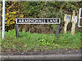 TG2504 : Arminghall Lane sign by Geographer