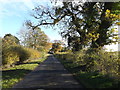 TM2996 : Seething Road, Kirstead Green by Geographer