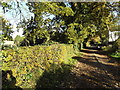 TM2892 : Footpath to Hall Road & entrance to Wood Barn Farm by Geographer