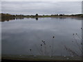 SU1999 : Roundhouse Lake Nature Reserve, near Lechlade by Vieve Forward