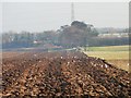 SE4231 : Gulls behind a tractor, west of Peckfield House Farm by Christine Johnstone