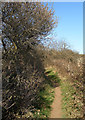 SS8677 : Public footpath at the northern edge of Merthyr Mawr Warren by eswales