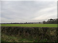  : Farmland south of Chance Hall Farm by Christine Johnstone