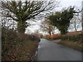 SJ8260 : Child's Lane, looking west by Christine Johnstone