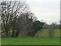 SJ8160 : Trees along a small stream, north of Spen Green by Christine Johnstone