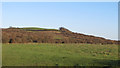 TQ7985 : Hills in Hadleigh Country Park by Roger Jones