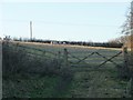 SK9028 : Sheep pasture, north of Red Cottages by Christine Johnstone