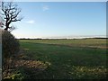  : Southern edge, arable field, Ponton Heath by Christine Johnstone