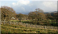 NY1400 : Eskdale Valley, Cumbria by Peter Trimming