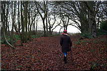 TF6633 : Snettisham Common in January by Rob Johnson