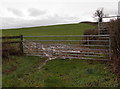 SO4107 : Muddy field entrance south of Raglan by Jaggery