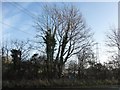 SK1817 : Pylon east of the allotments on Dogshead Lane by Christine Johnstone