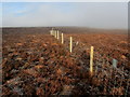 SE0768 : Boundary Fence on Combes Hill (South) by Chris Heaton