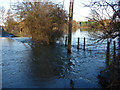 TQ0467 : Ferry Lane, Chertsey by Alan Hunt