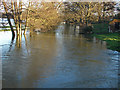 TQ0467 : Abbey Stream, Chertsey by Alan Hunt