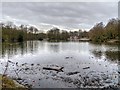 SD8303 : Heaton Park Lake by David Dixon