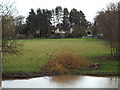 SP2965 : Floodmeadow behind Ashley Crescent, Myton, Warwick 2014, January 16, 13:38 by Robin Stott