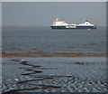 TA2512 : Seatruck arriving into Immingham by Steve  Fareham