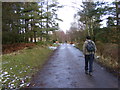 SJ9815 : Cemetery Path by Gordon Griffiths