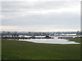 SJ4053 : Fields in flood near Holt by Jeff Buck