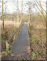 SK5446 : Moorbridge Pond Nature Reserve, Bestwood, Notts. by David Hallam-Jones