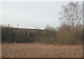 SK5446 : Moorbridge Pond Nature Reserve, Bestwood, Notts. by David Hallam-Jones