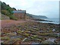 SX4350 : Former fish cellars on North Rock, Kingsand by Rob Farrow