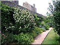 SX8664 : Curtain Walls of Compton Castle by Jeff Buck