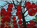 SJ8398 : Chinese Lanterns in St Ann's Square by David Dixon