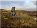 SD7676 : Trig Point on Park Fell by Chris Heaton