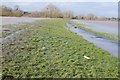 SO8540 : Floodbank on Fish Meadow by Philip Halling