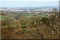 SX8856 : Countryside around Galmpton by Derek Harper