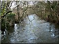 SX8386 : River Teign by Derek Harper