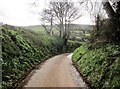 SX9285 : Sunken lane to Kenn by Derek Harper