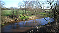 SJ7067 : River Dane near Middlewich by Des Blenkinsopp