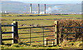 D4501 : Field gate and power station chimneys, Islandmagee by Albert Bridge