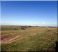 TV5996 : South Downs near Beachy Head by PAUL FARMER