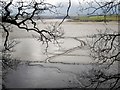 SX4461 : Rivulet across mud, Tavy estuary by Derek Harper